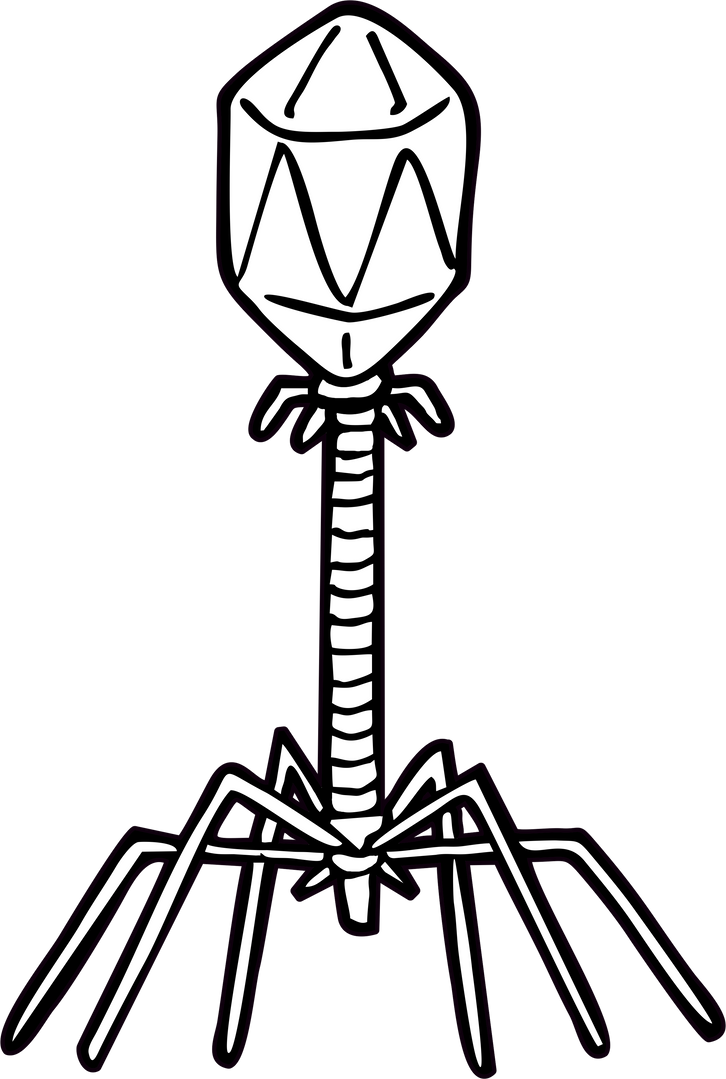 Bacterphage Virus Illustration